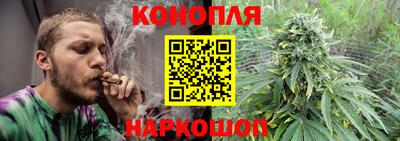 гидропоника Павлово