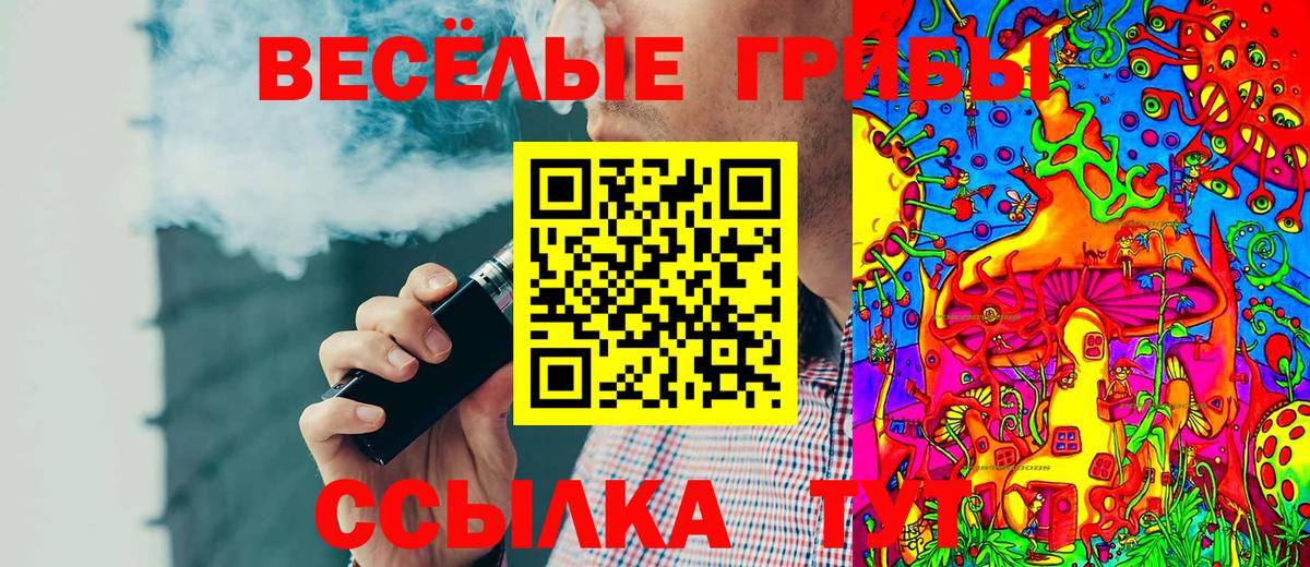 Галлюциногенные грибы GOLDEN TEACHER  Сертолово  Псилоцибиновые грибы Psilocybe 