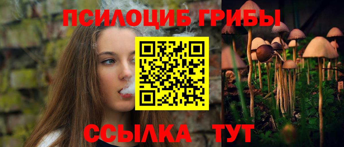 Псилоцибиновые грибы MAGIC MUSHROOMS Сертолово