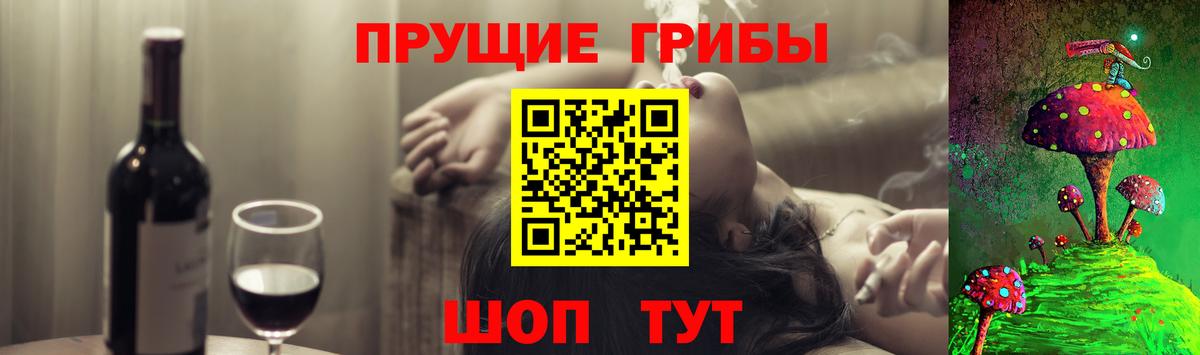 Сертолово  купить закладку  Вход с VPN  Галлюциногенные грибы Psilocybine cubensis 